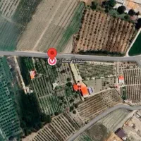 باغ انگور بر آسفالت گاز روشن آده قابل معاوضه