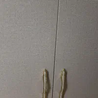 کابینت ۴عدد|آب‌چکان و نظم‌دهنده ظروف|قزوین, |دیوار