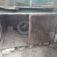 قفس پرنده وحیوانات خانگی