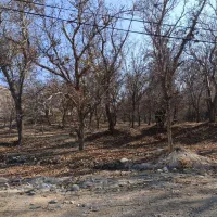 صفا باغ|فروش دفتر صنعتی، کشاورزی، تجاری|مراغه, |دیوار