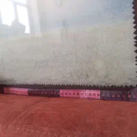 آکواریوم ماهی|ماهی|زاهدان, |دیوار