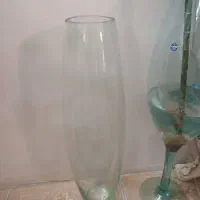 گلدان وتنگ شیشه ای|گل و گیاه طبیعی|تهران, یاخجی آباد|دیوار