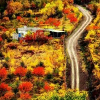 تور هورامان و سلین