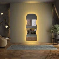 آینه بک لایت