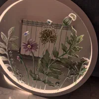 آینه لوکس|آینه|لاهیجان, طالقانی|دیوار