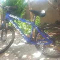 دوچرخه|دوچرخه، اسکیت، اسکوتر|اقلید, |دیوار