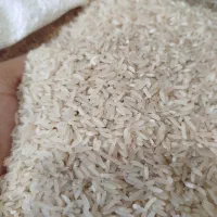 برنجامساله فجر|خوردنی و آشامیدنی|مزرعه کتول, |دیوار