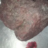 سنگ|کلکسیون اشیاء عتیقه|کامیاران, |دیوار