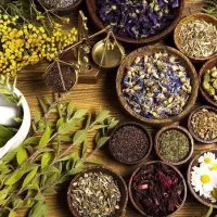 کاردرمنزل مخصوص بانوان