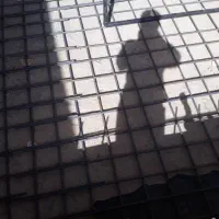 ارماتوربندی ساختمان واستخروابنما|خدمات پیشه و مهارت|نسیمشهر, |دیوار