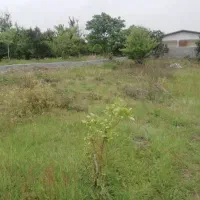 فروش-زمین-باغی