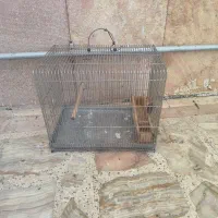 قفس سهره و سهره قناری