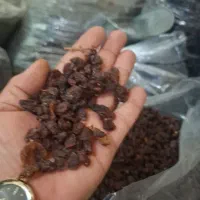 خوردنی و آشامیدنی