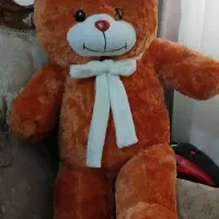 عروسک خرس یک متری|اسباب‌‌بازی|ساری, |دیوار