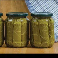 برگ دلمه