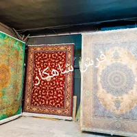 فرش مُحتشم ۱۵۰۰ شانه کد ۳۱۵۷۰ روناسی ۱۲ متری|فرش|شیراز, فرهنگیان|دیوار