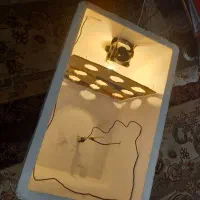 گاز دستگاه جوجه کشی به همراه جوجه|اجاق گاز و لوازم برقی پختوپز|کاشان, باهنر|دیوار