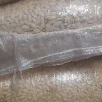 فروش کدو تخمی