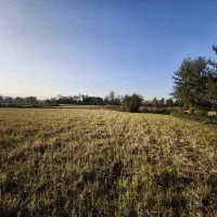 زمین۱۵۰۰متری در شهرستان فومن روستای نوگوراب