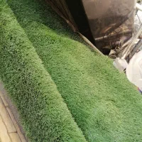 فروش وسایل اکواریوم|لوازم جانبی حیوانات|رفسنجان, |دیوار