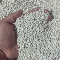 کافشه درجه یک