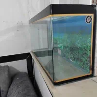 آکواریوم شیشه خم