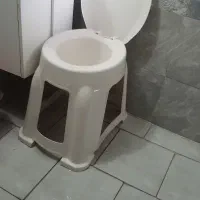 توالت فرنگی