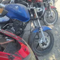 پالس مزایده