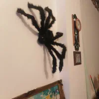 قاب لوازم تزئینی عروسک‌های جنس خوب|تابلو، نقاشی، عکس|کرمان, |دیوار