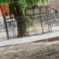 باربند نیسان مسقف|قطعات یدکی و لوازم جانبی|کیار, |دیوار