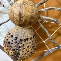 آباژور دستاز تایلندی با چوب نارگیل کاملا سالم