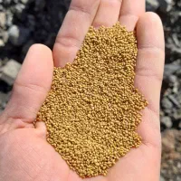 بذر یونجه زیر قیمت