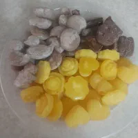 انواع نبات های لوکس و فانتزی گیاهی