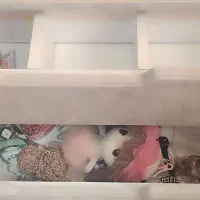 میز آرایش وتحریر|میز تحریر و کامپیوتر|ورامین, ورامین|دیوار