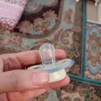 پستونک اونت و بیبی لند نو