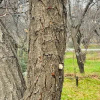 زیبا دشت معاوضه زمین سند دار با ملک و‌ ماشین