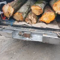 خریدار انواع چوبهای باغی یا هر چوب دیگری تر یا خشک