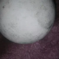 سنگ سفید.با سختی بالا|جواهرات|مرودشت, دولت آباد|دیوار