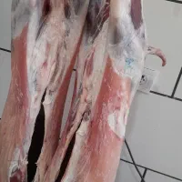 گوسفنده زنده گوشت جگر سیرابی|خوردنی و آشامیدنی|درح, |دیوار