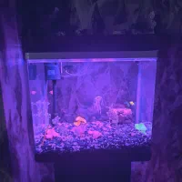 آکواریوم دلسا k500 معاوضه