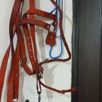 وسایل سوارکاری