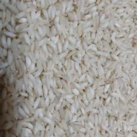 برنج عنبربو امسال کتوند|خوردنی و آشامیدنی|گتوند, |دیوار