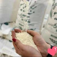 فروش برنج
