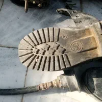 پوتین شماره ۴۳
