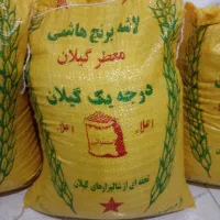 انواع برنج محصول شمال