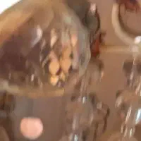 لوستر  یک عدد سالمه ودومی احتیاج به تعمیر داره|لوستر و چراغ آویز|بندرعباس, |دیوار