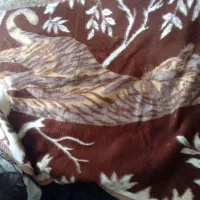 پتومعمولی|رختخواب، بالش، پتو|کیاشهر, |دیوار