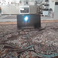 تلوزیون