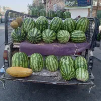 وانت پیکان مدل ۸۴|خودرو سواری و وانت|اسلامشهر, شهرک مهدیه|دیوار