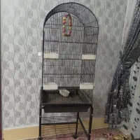 قفس|لوازم جانبی حیوانات|سبزوار, شرق کال جنوبی (شمس آبادی)|دیوار